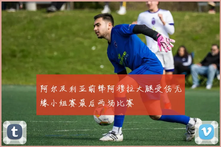 阿尔及利亚前锋阿穆拉大腿受伤无缘小组赛最后两场比赛